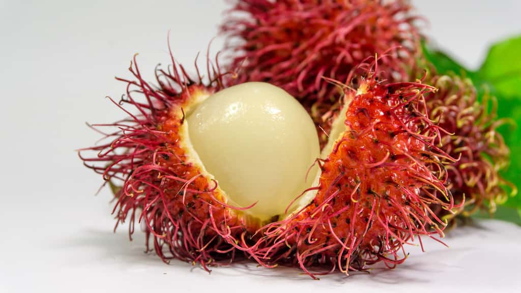 Ramboutan :  un cousin du litchi - Indonésie